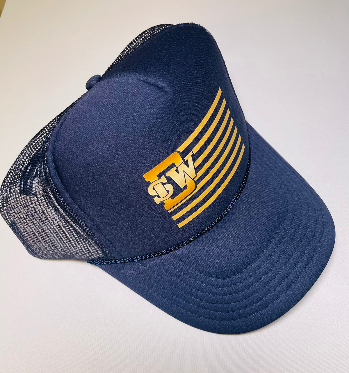 SWD PANTHER PLEDGE SNAPBACK